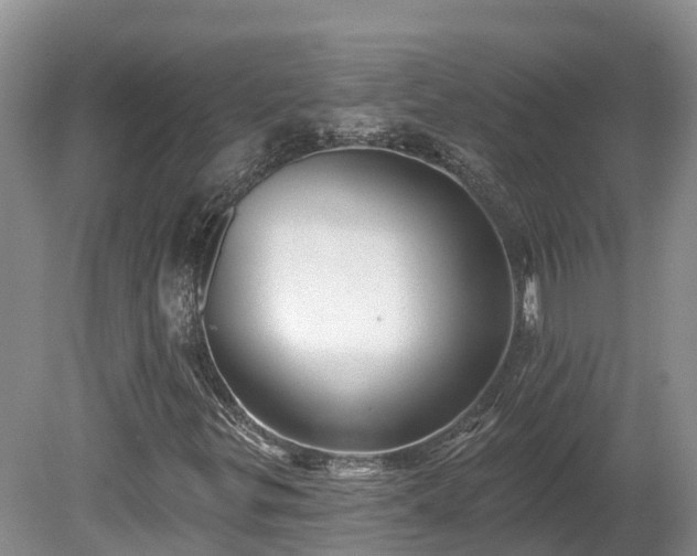 X0000080741299200612221308