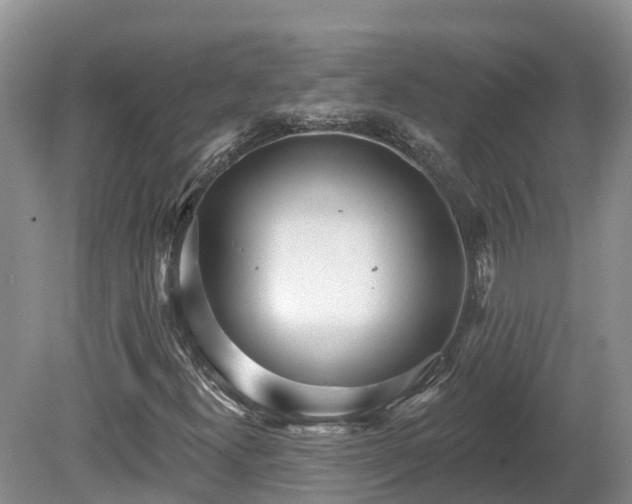 X0000080741300200612221308