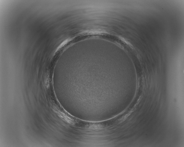 X0000080741306200612221308