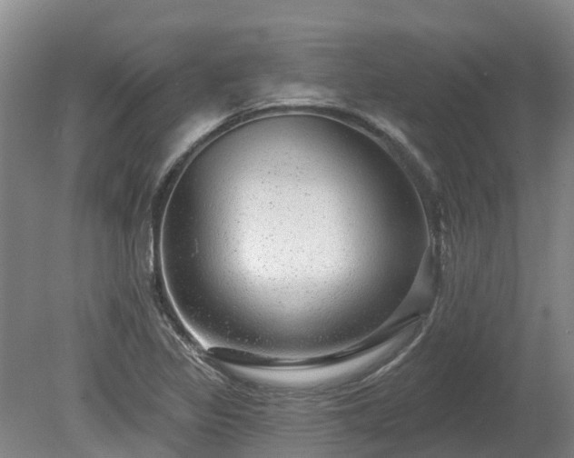 X0000080741317200612221308