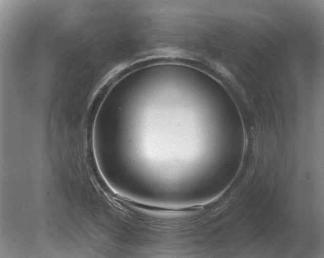 X0000080741318200612221308