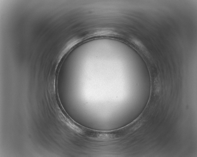 X0000080741322200612221308