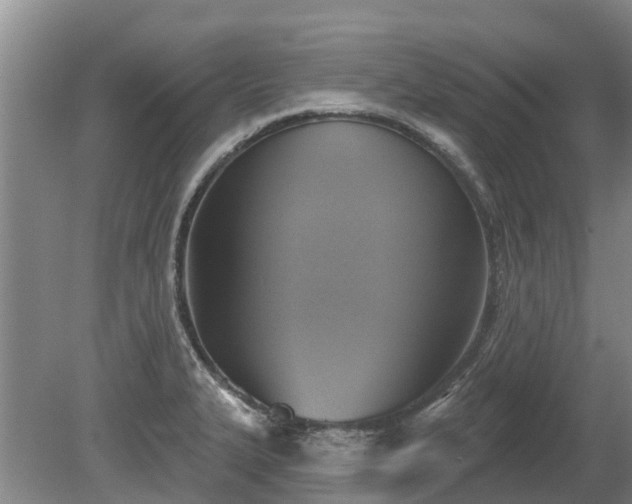 X0000080741327200612221309