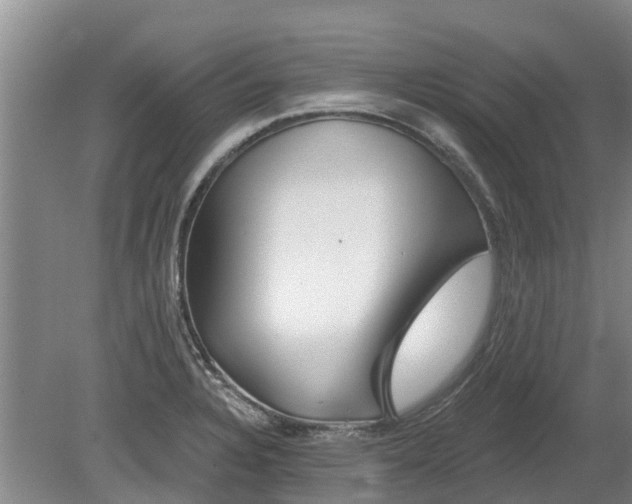 X0000080741328200612221309
