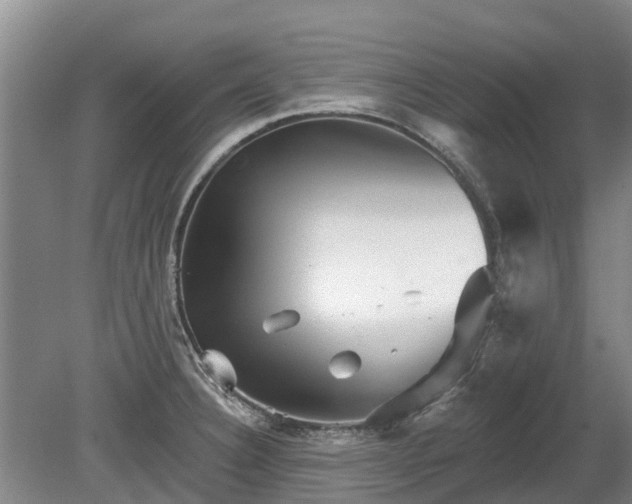 X0000080741332200612221309