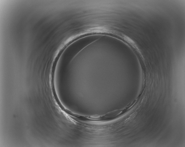 X0000080741334200612221309