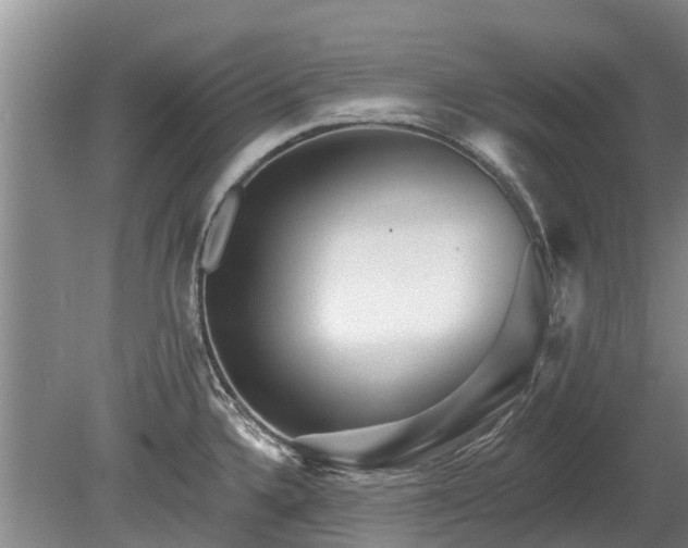 X0000080741336200612221309