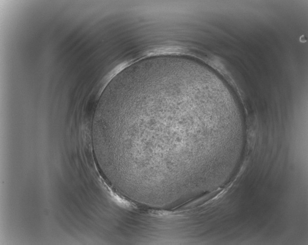 X0000080741337200612221309