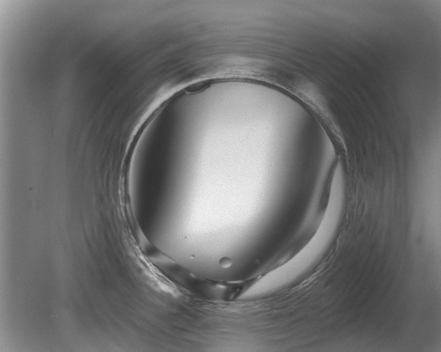 X0000080741340200612221309