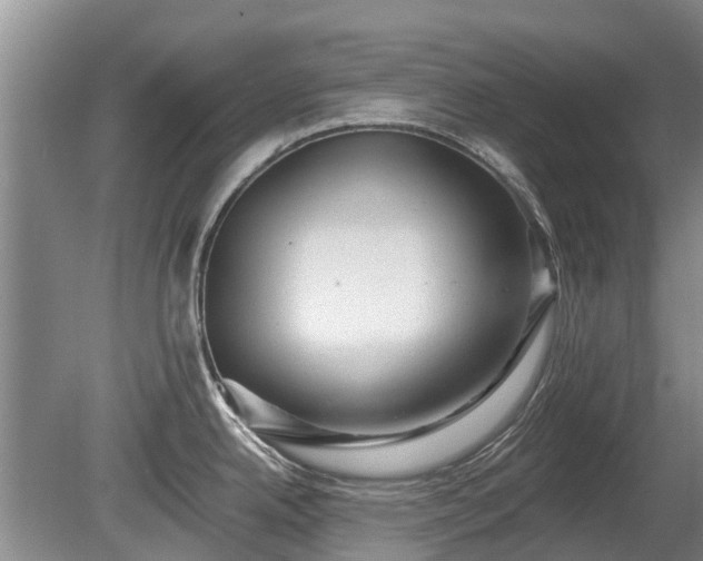 X0000080741342200612221309