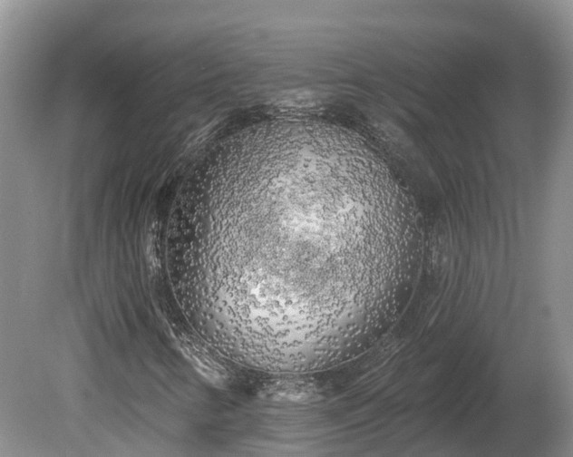 X0000080741346200612221308