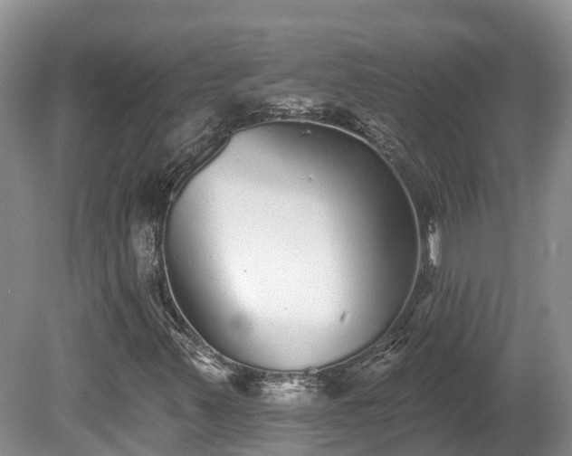 X0000080741347200612221308