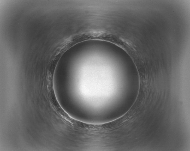 X0000080741349200612221308