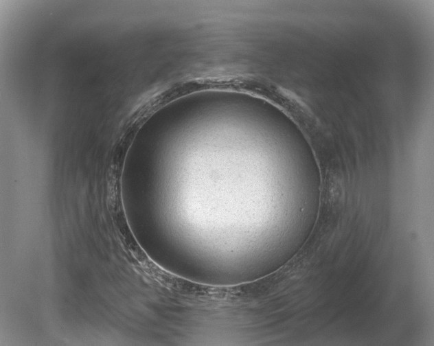 X0000080741350200612221308