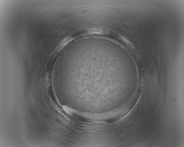 X0000080741353200612221308