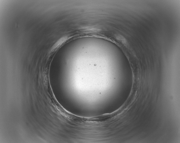 X0000080741354200612221308