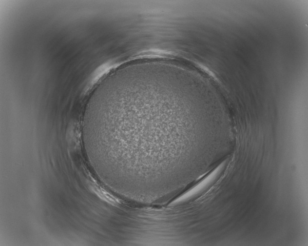 X0000080741355200612221308