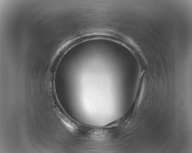 X0000080741360200612221308