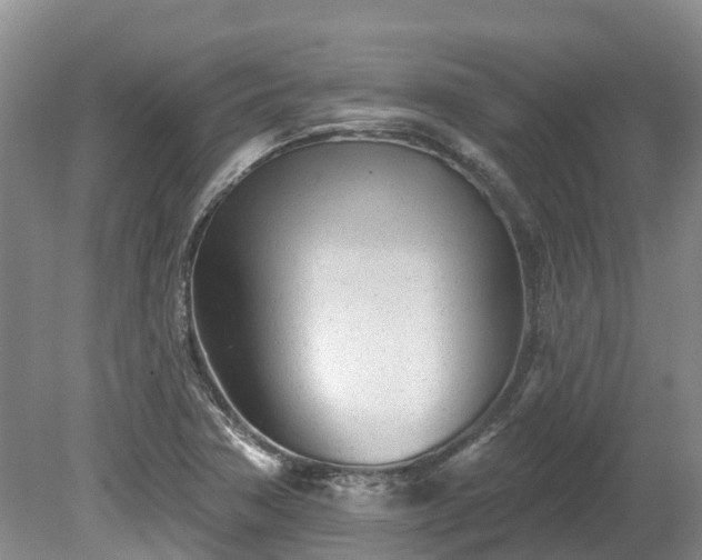 X0000080741362200612221308