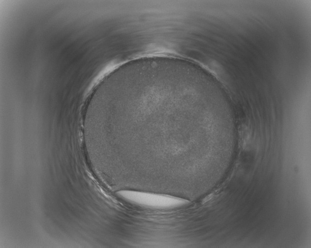X0000080741363200612221308