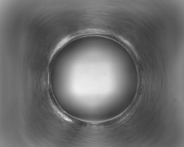 X0000080741365200612221308