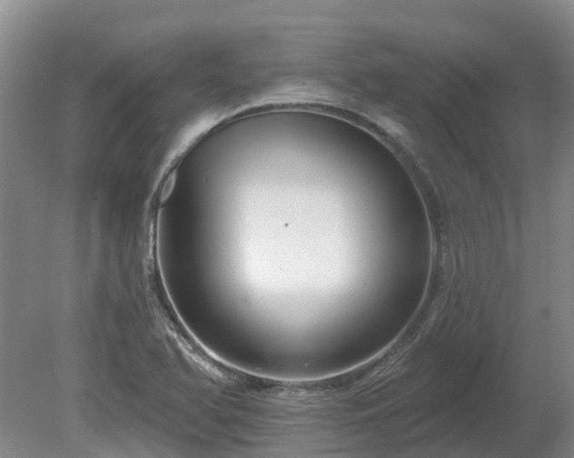 X0000080741366200612221308