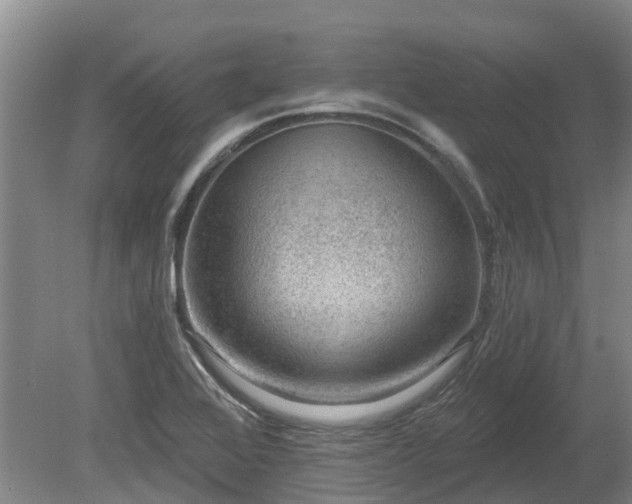 X0000080741368200612221308