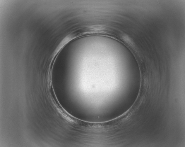 X0000080741370200612221308