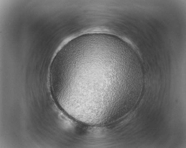 X0000080741374200612221308