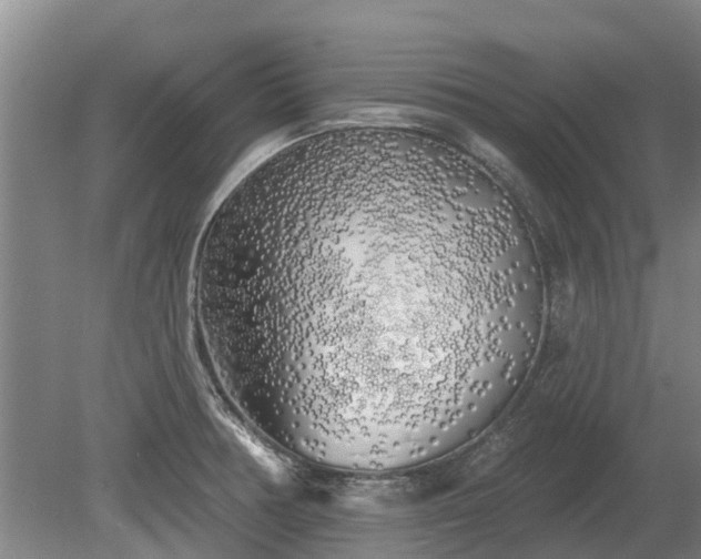X0000080741378200612221307