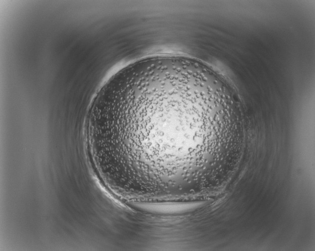 X0000080741382200612221307
