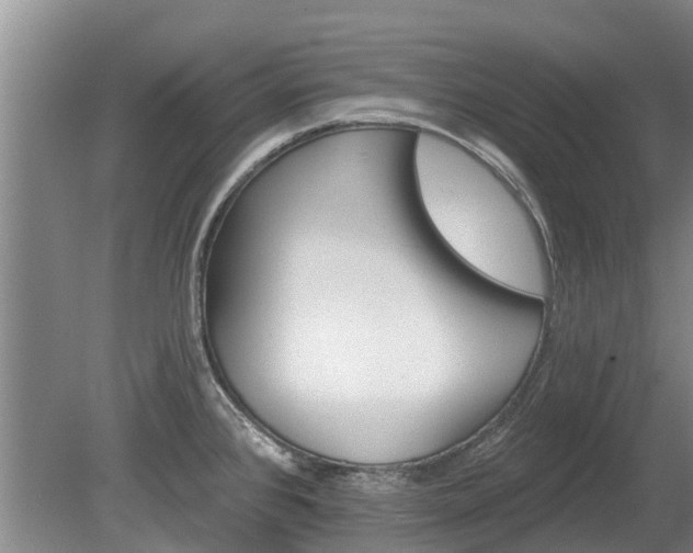 X0000080741384200612221307