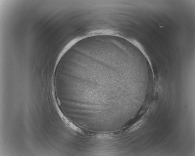 X0000080741389200612221307