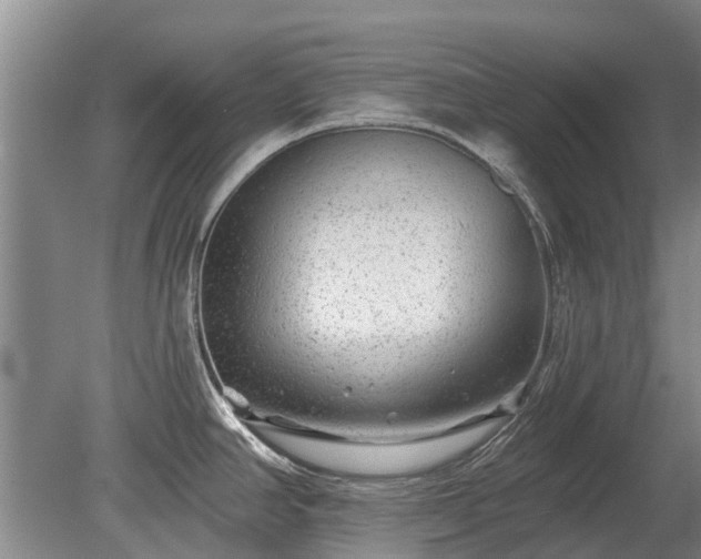 X0000080741390200612221307