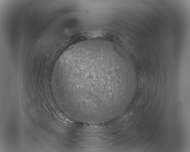 X0000080741393200612221306