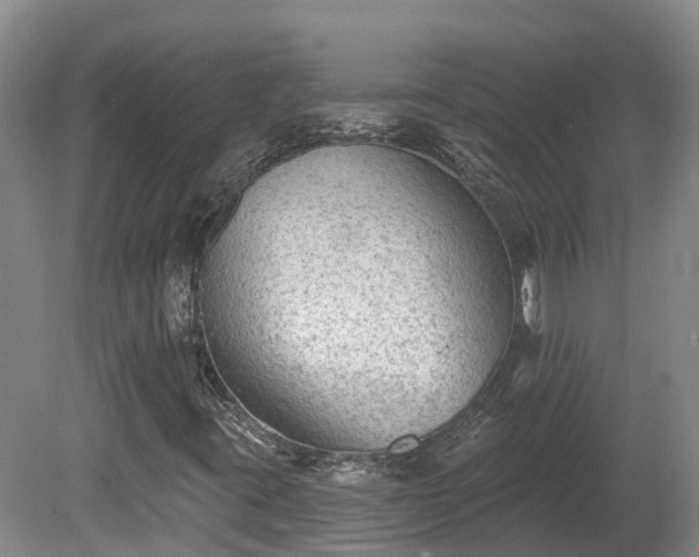 X0000080741395200612221306