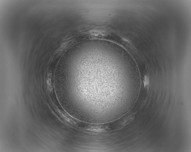 X0000080741396200612221306