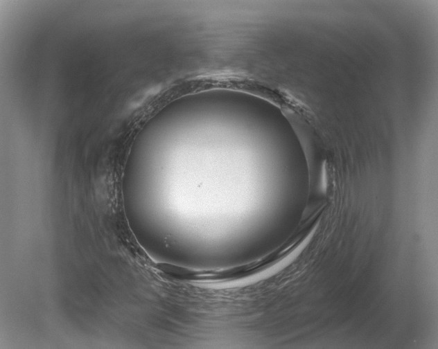 X0000080741398200612221307