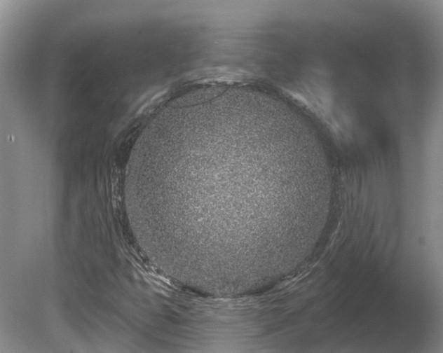 X0000080741399200612221307