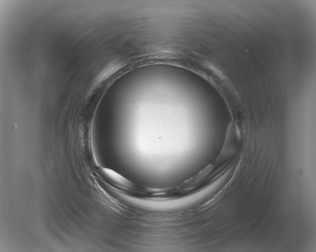 X0000080741402200612221307