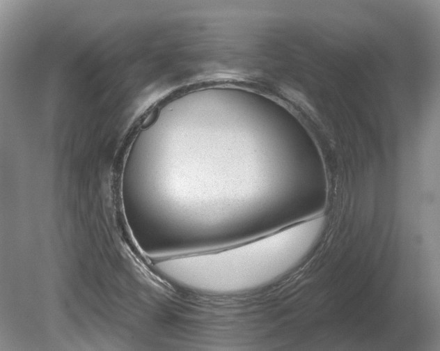 X0000080741404200612221307