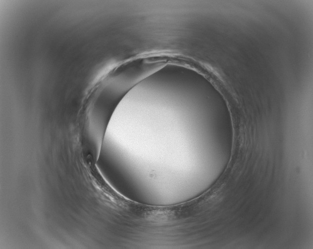 X0000080741406200612221307