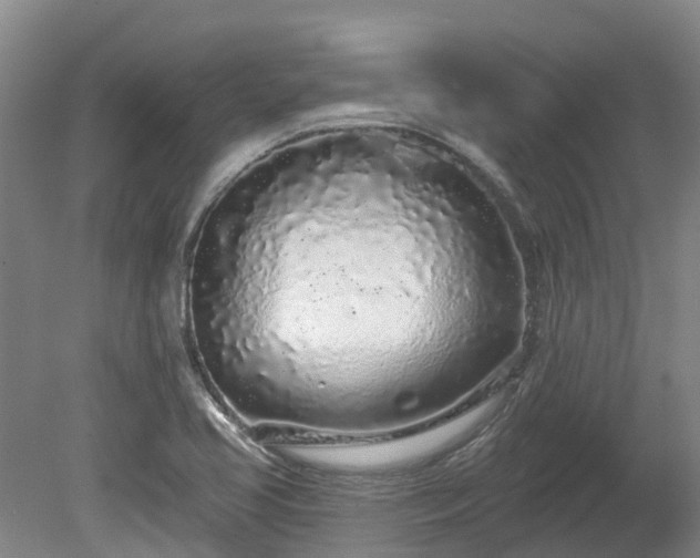 X0000080741413200612221307