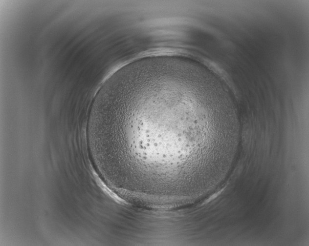 X0000080741417200612221307