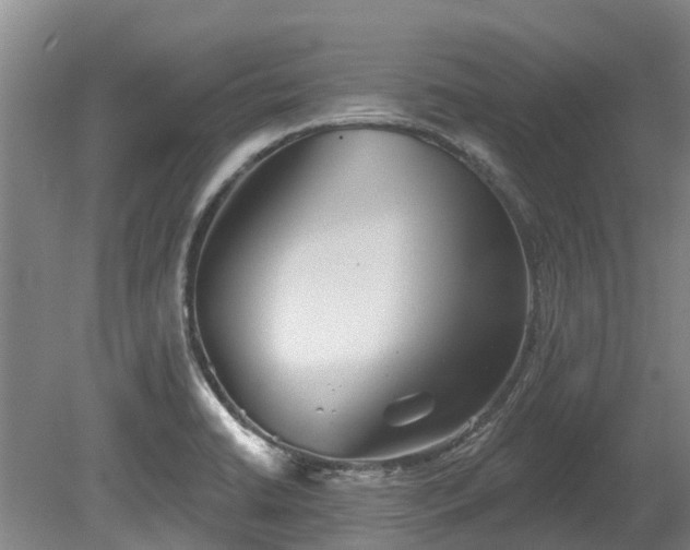 X0000080741422200612221307