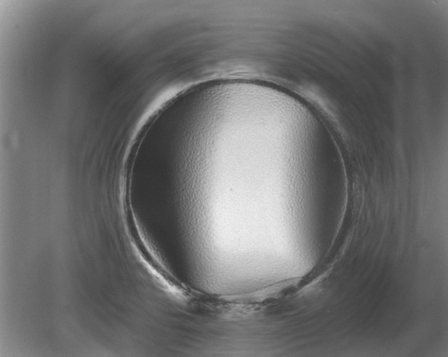 X0000080741424200612221307