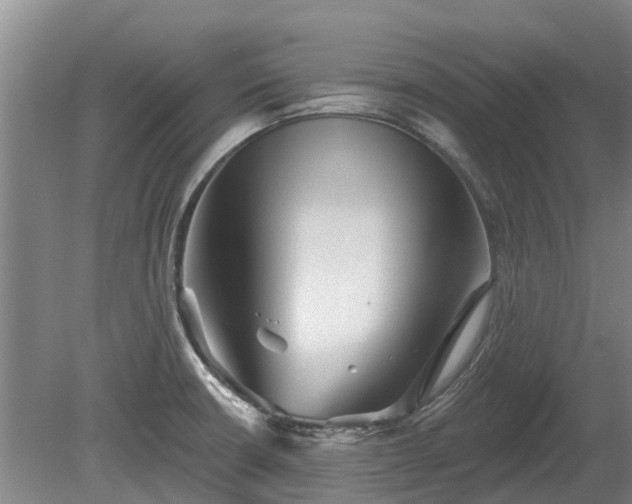 X0000080741426200612221307