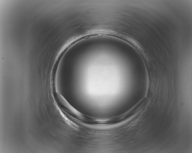 X0000080741430200612221307