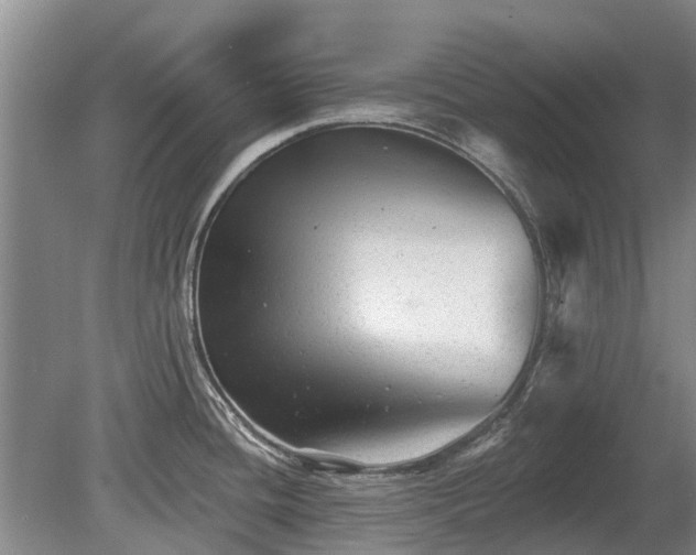 X0000080741436200612221307
