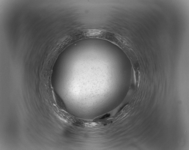 X0000080741441200612221306